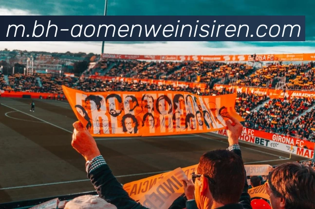 App Interface Preview