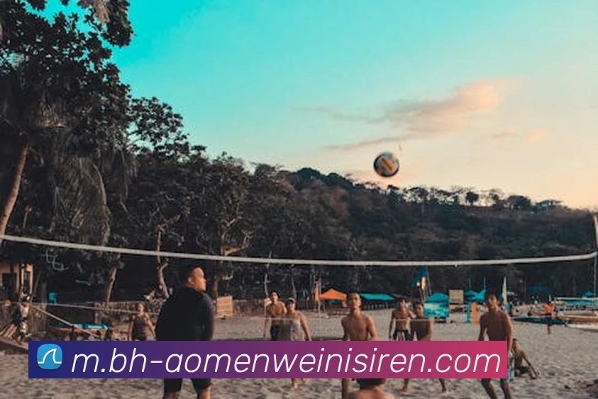 威尼斯人娱乐官网APP 封面图